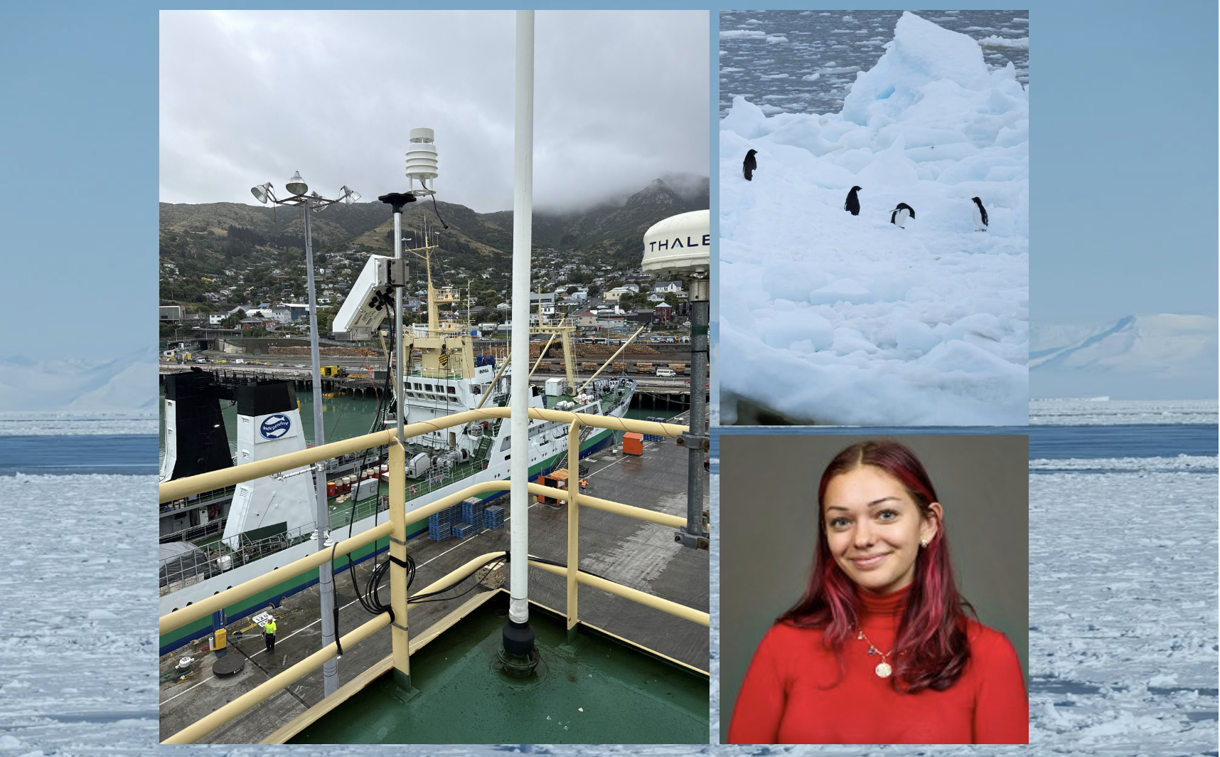 Jerricca_Ant_expedition